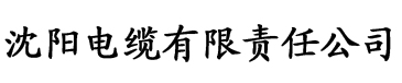 www.bi234.com电缆厂logo